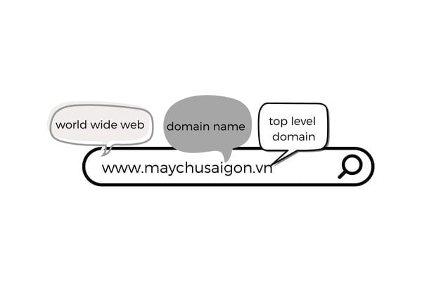 cấu tạo của domain